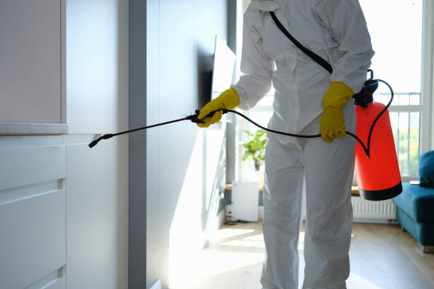 Best Kitchen Mold Remediation in Tappahannock, VA