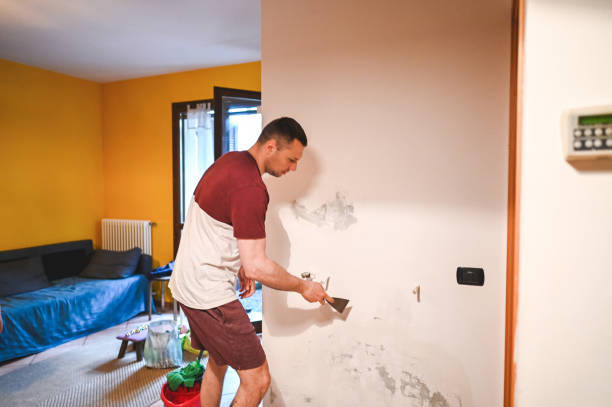 Best Residential Mold Remediation in Tappahannock, VA
